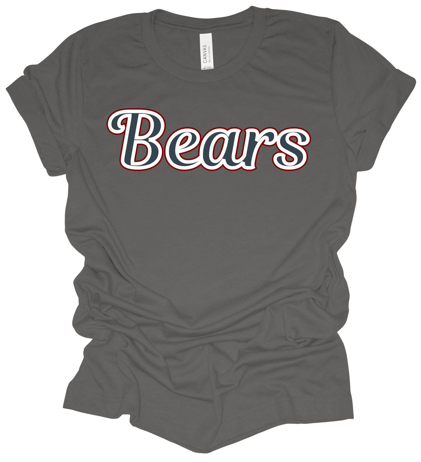 2025 PVAA Bears TEAM LOGO