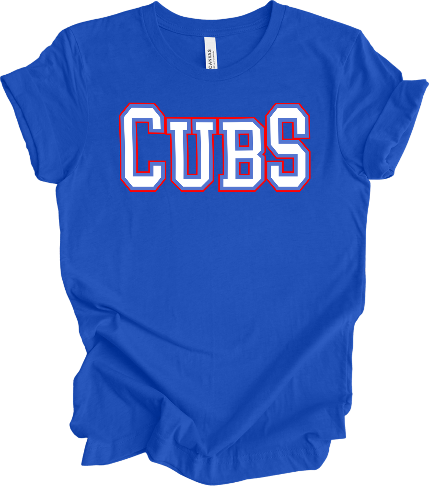 2025 PVAA CUBS TEAM LOGO