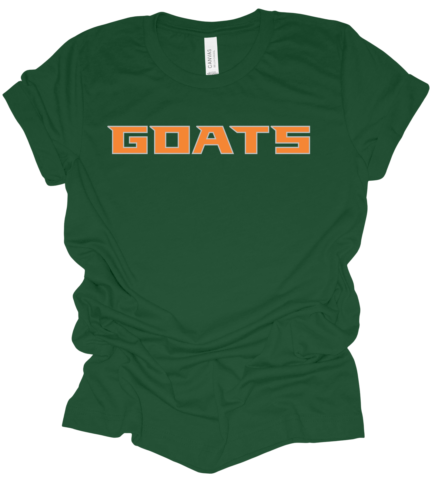 2025 PVAA GOATS TEAM LOGO