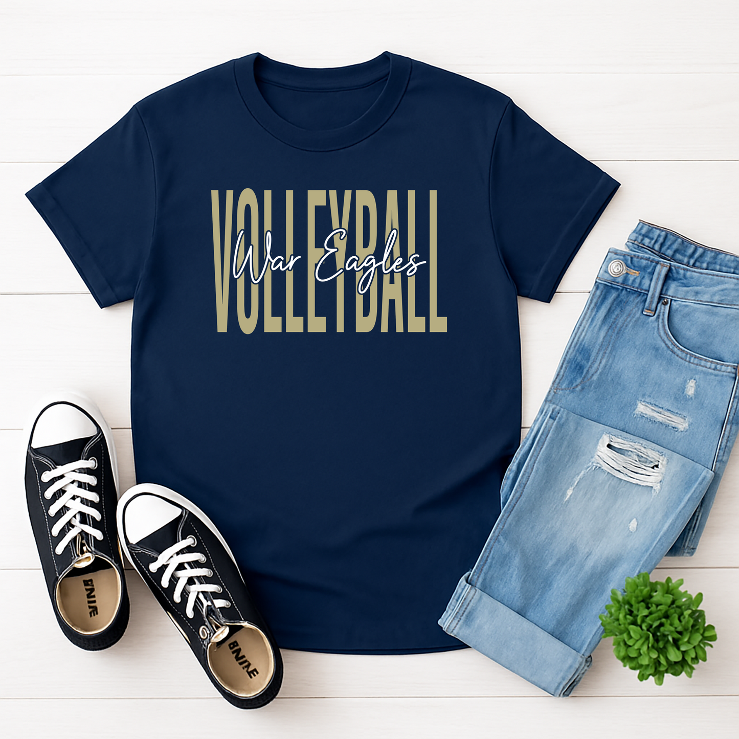 Volleyball