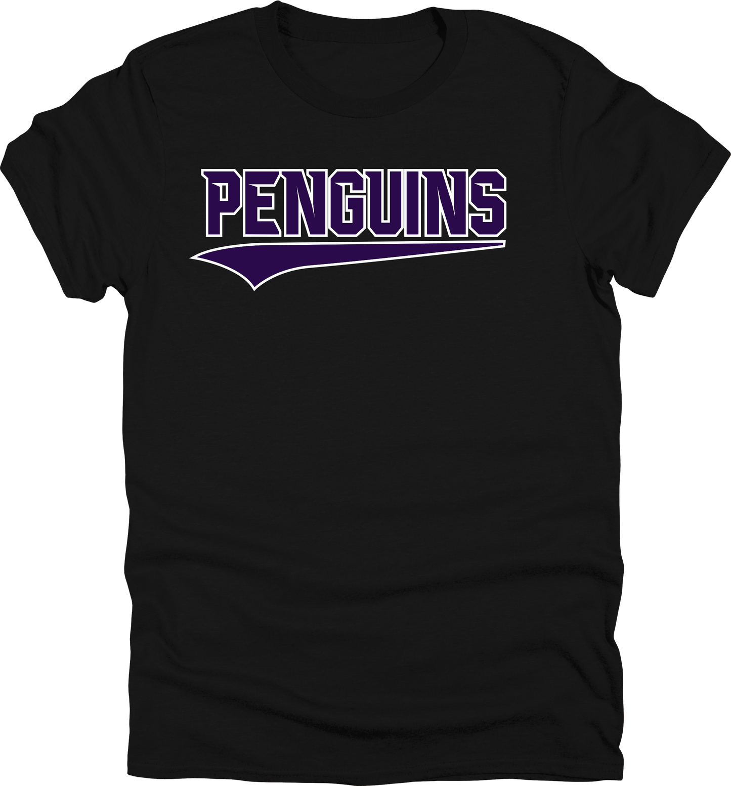 2025 PVAA Penguins TEAM LOGO