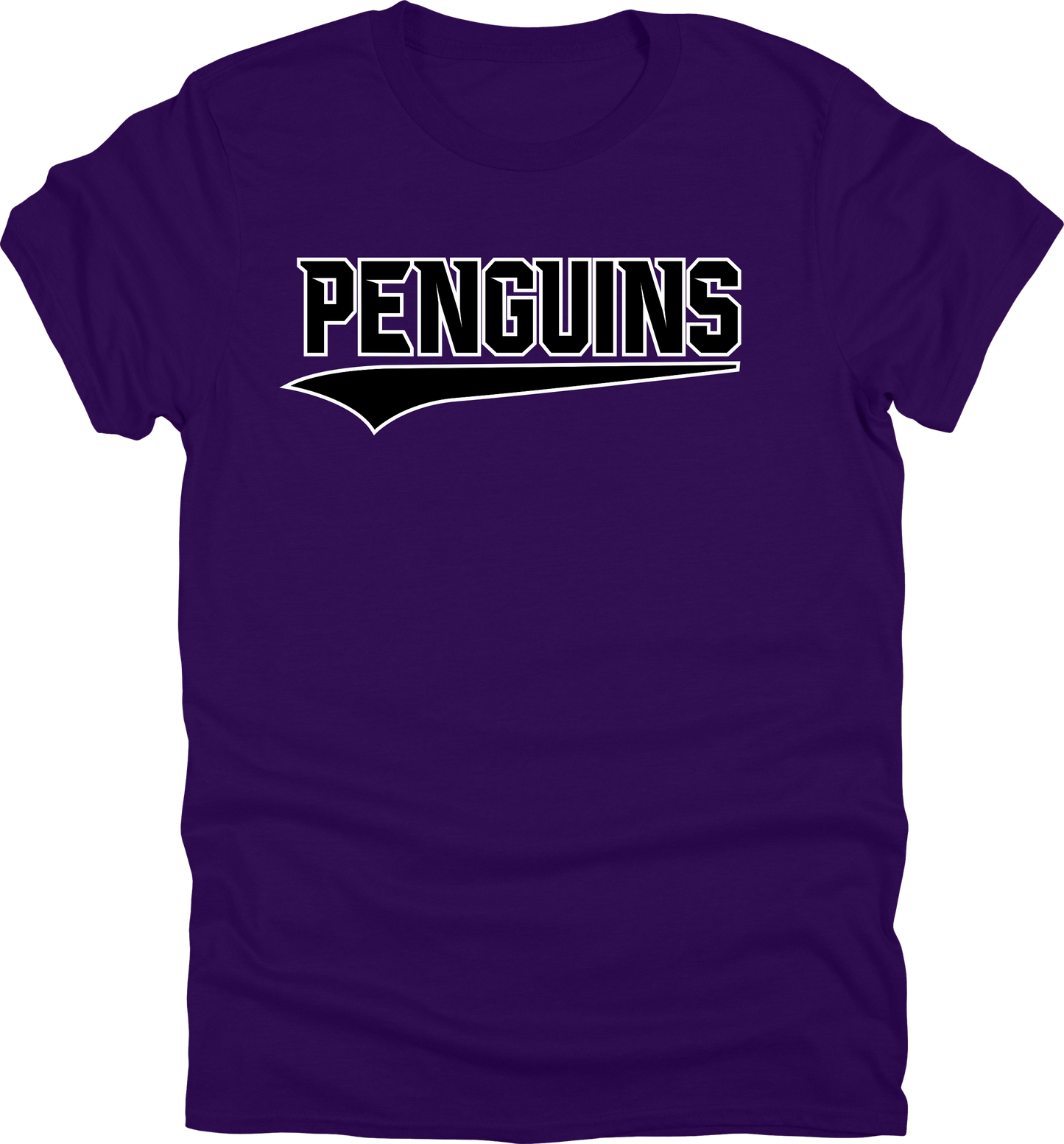 2025 PVAA Penguins TEAM LOGO