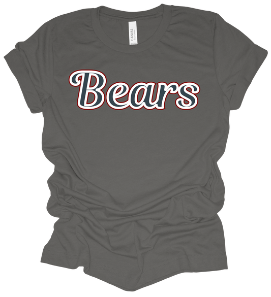 2025 PVAA Bears TEAM LOGO