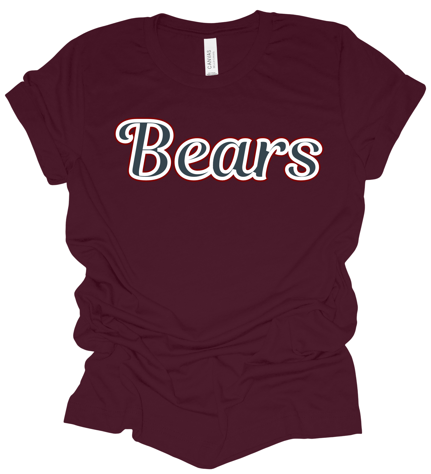 2025 PVAA Bears TEAM LOGO