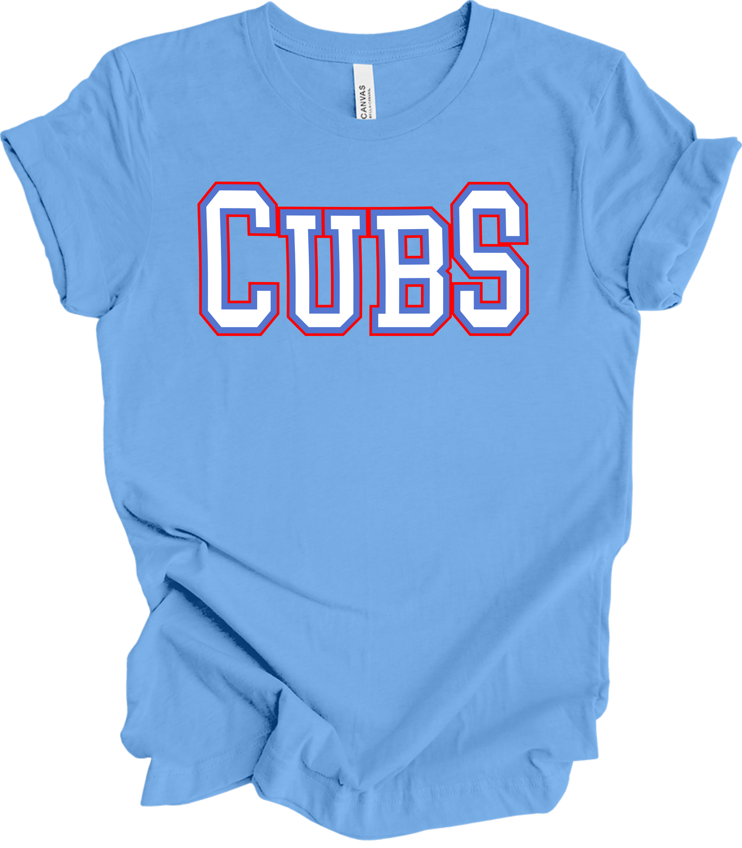 2025 PVAA CUBS TEAM LOGO