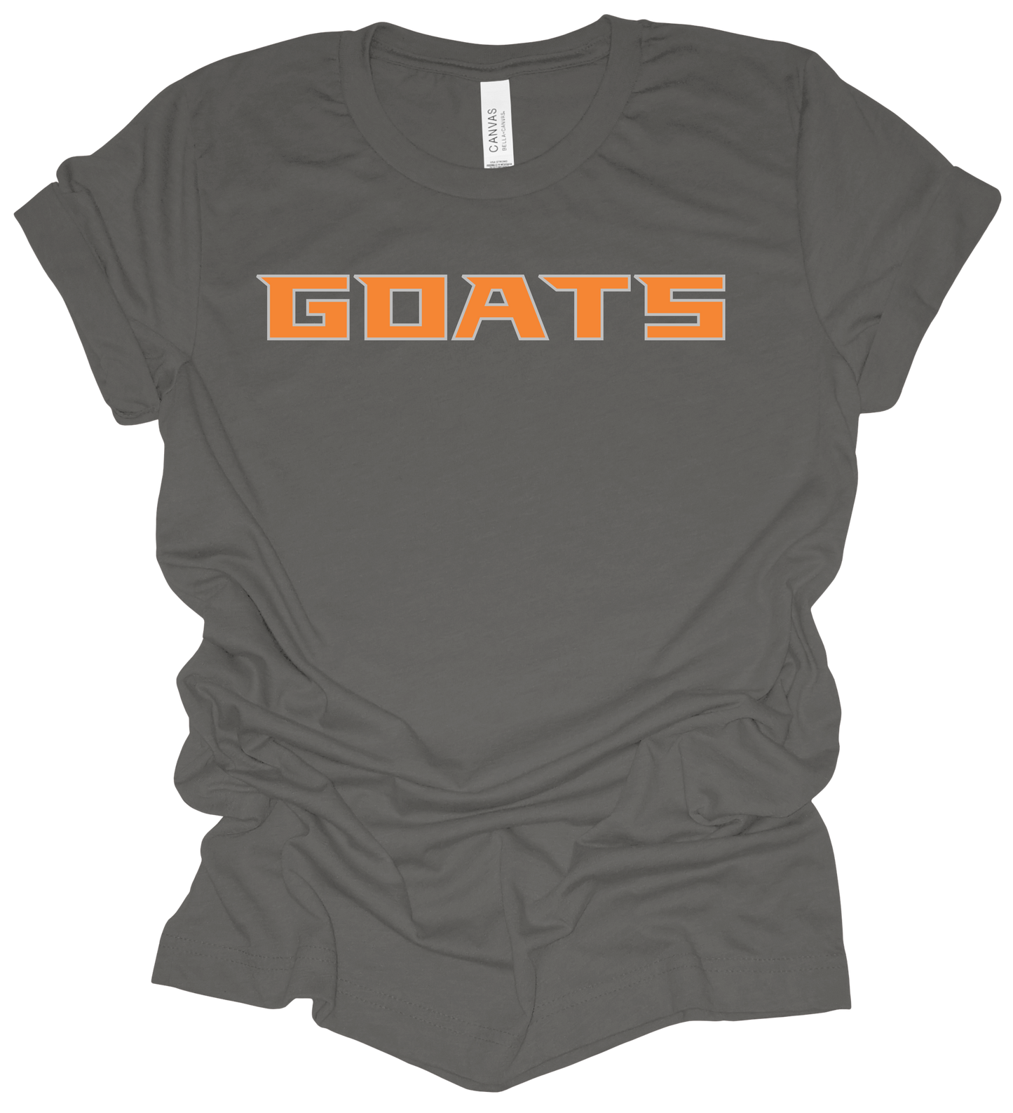 2025 PVAA GOATS TEAM LOGO