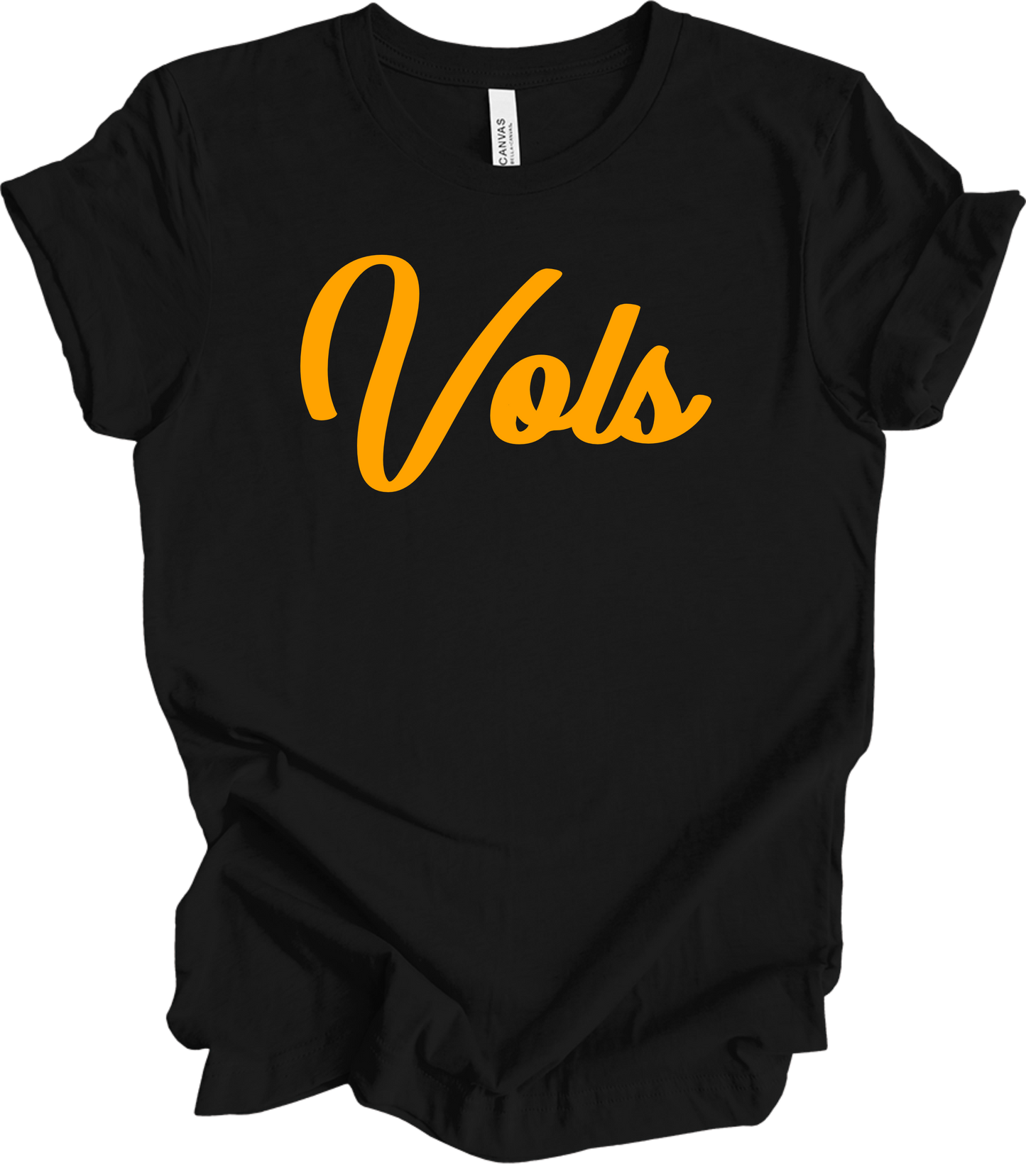 2025 PVAA VOLS TEAM LOGO