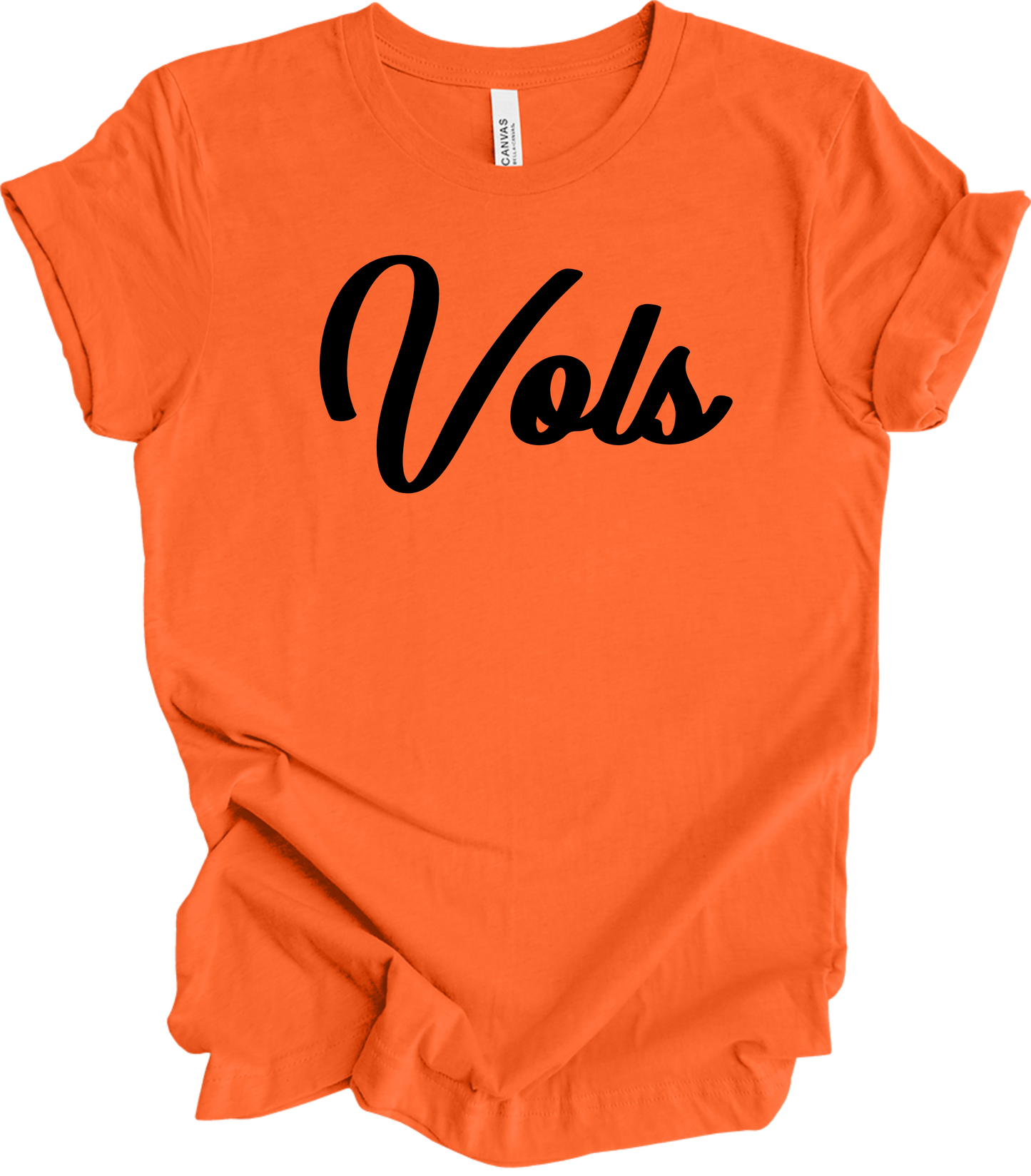 2025 PVAA VOLS TEAM LOGO