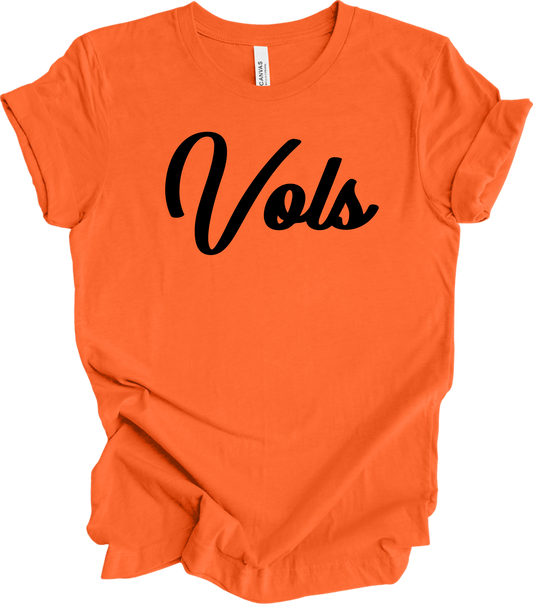 2025 PVAA VOLS TEAM LOGO