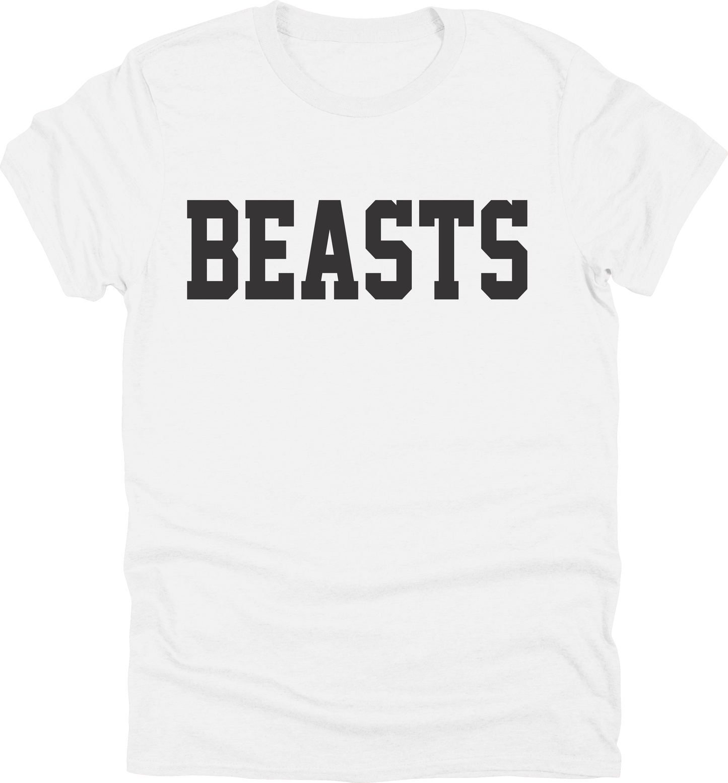 BEASTS Team Logo