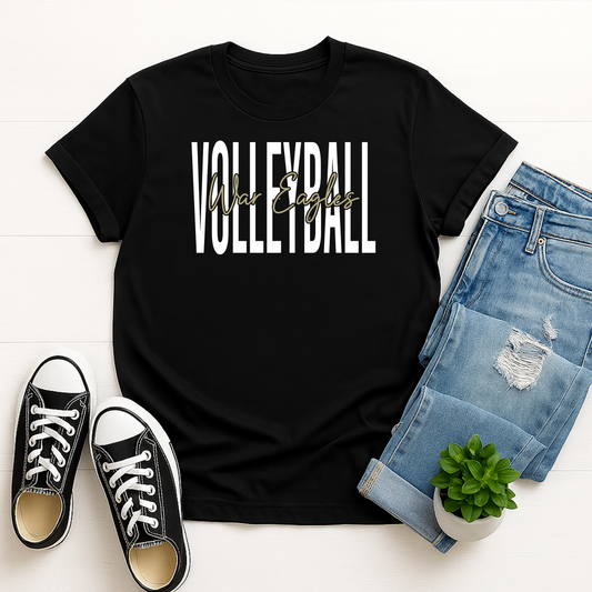 Volleyball
