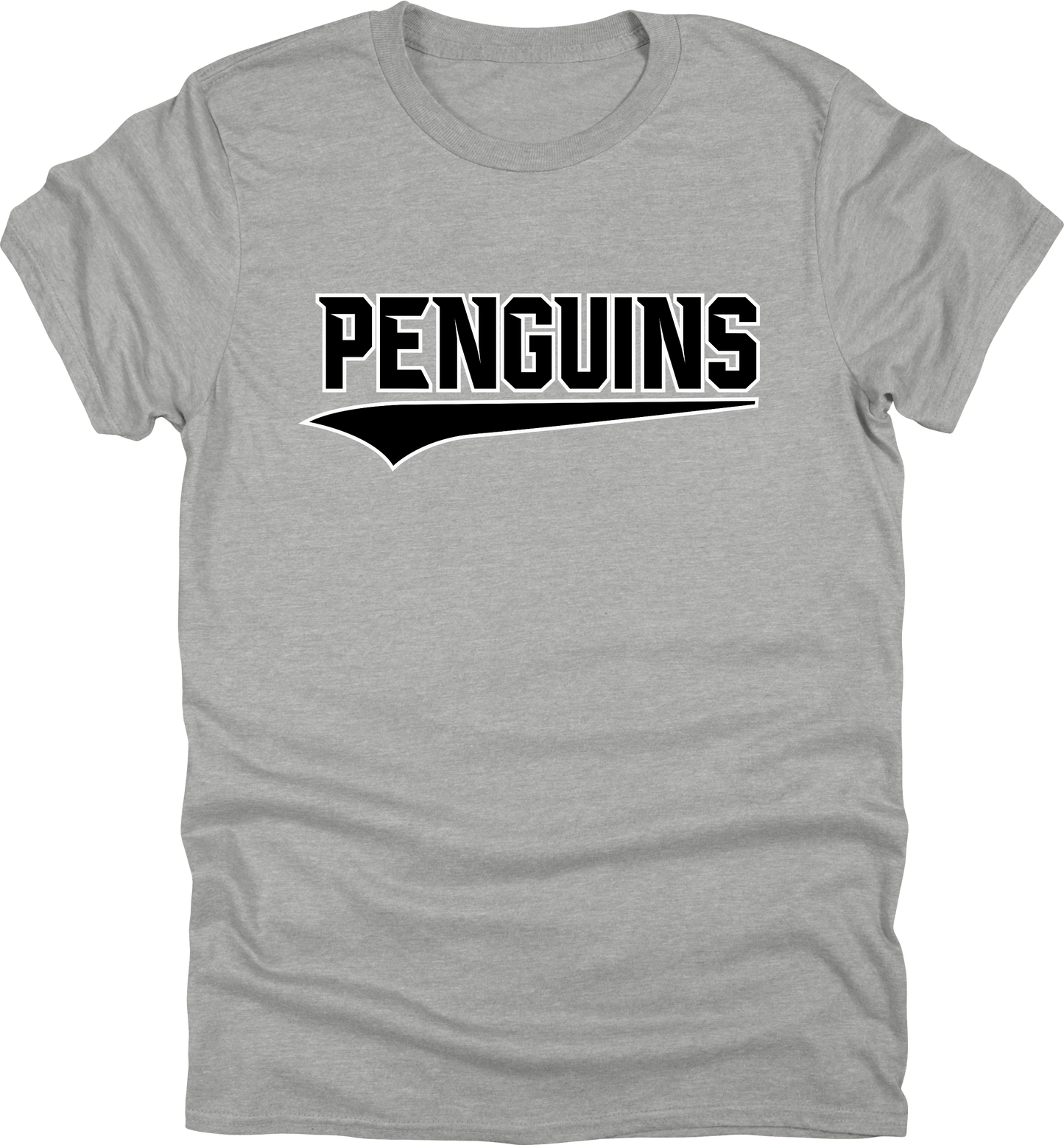 2025 PVAA Penguins TEAM LOGO