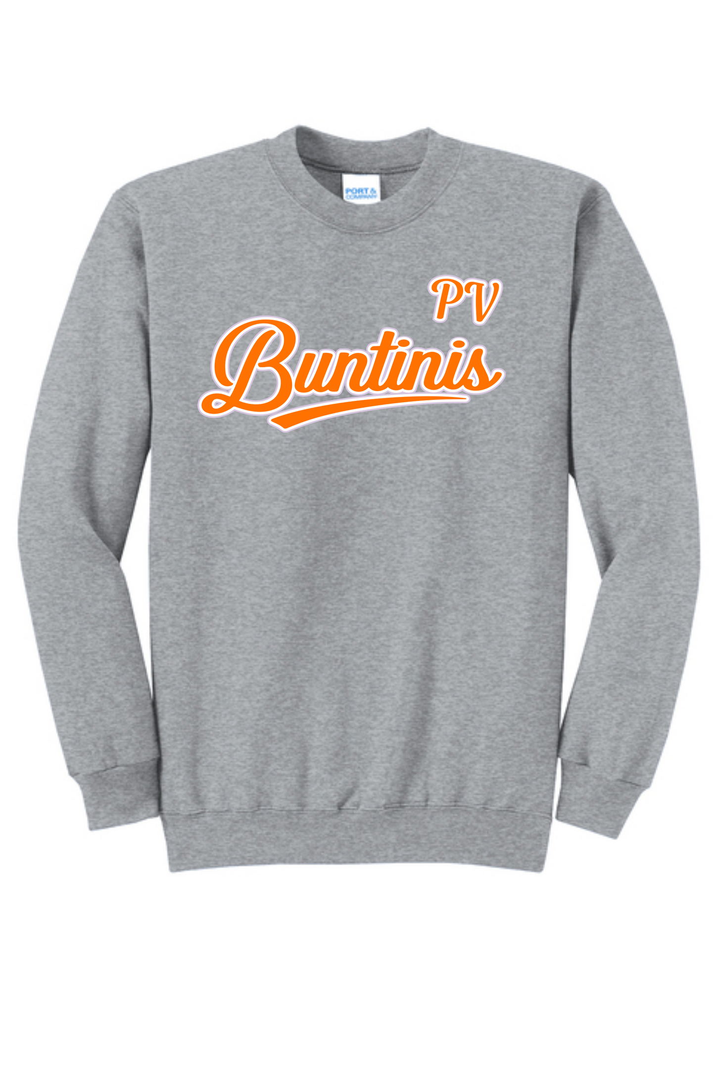6U BUNTINIS Team LOGO