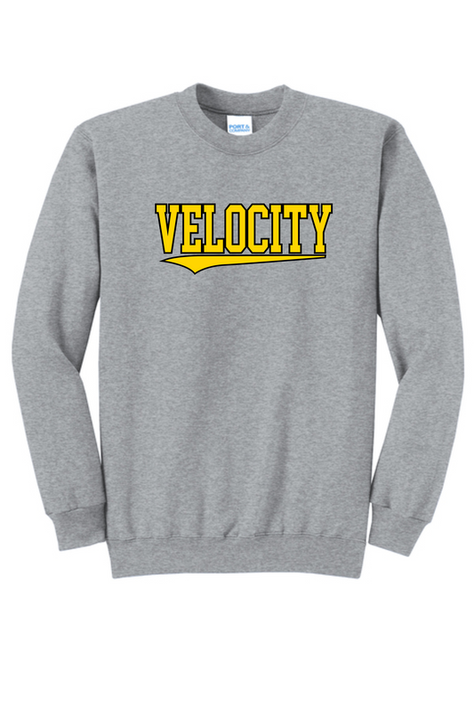 VELOCITY Team LOGO 12U