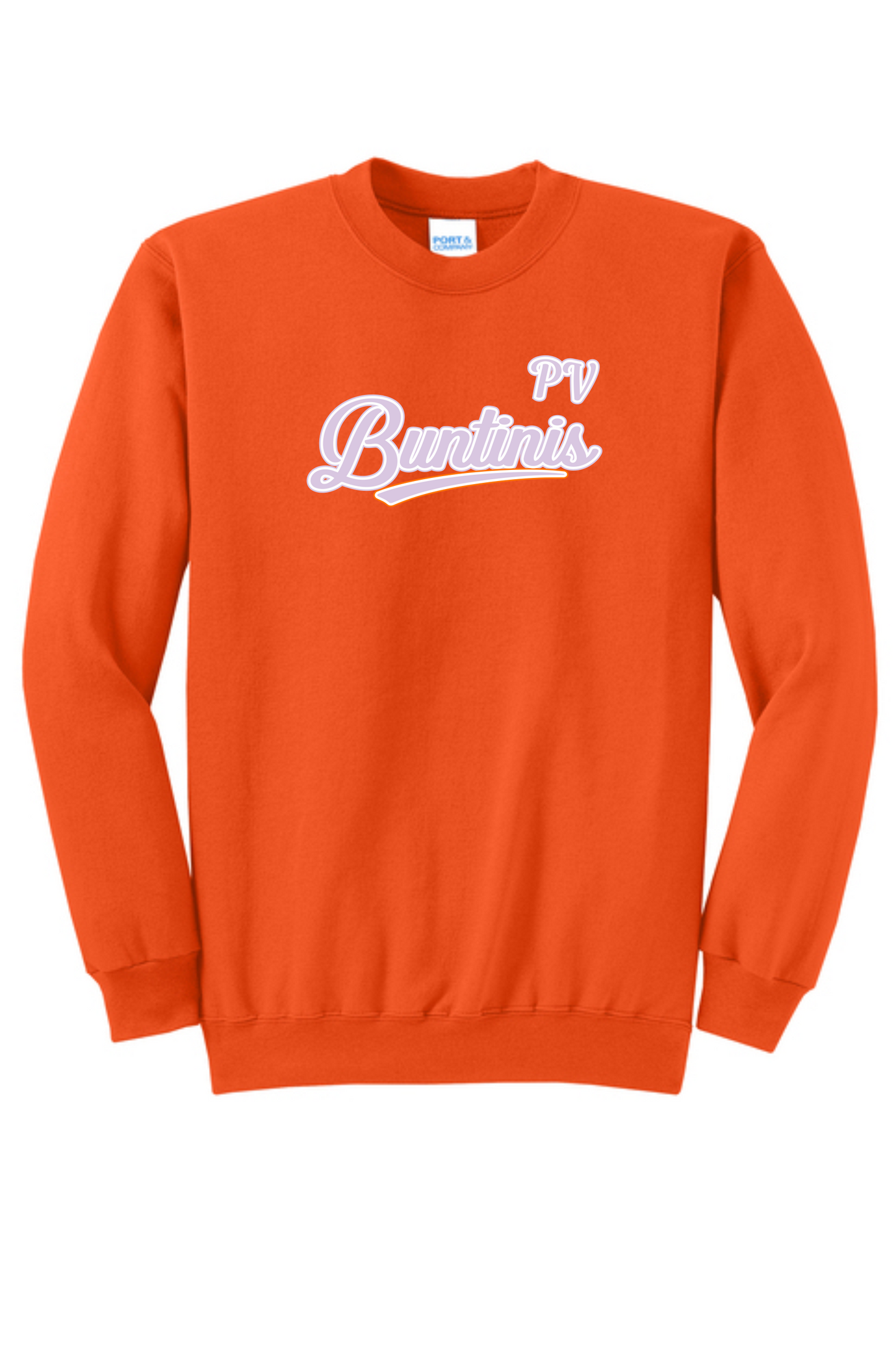 6U BUNTINIS Team LOGO