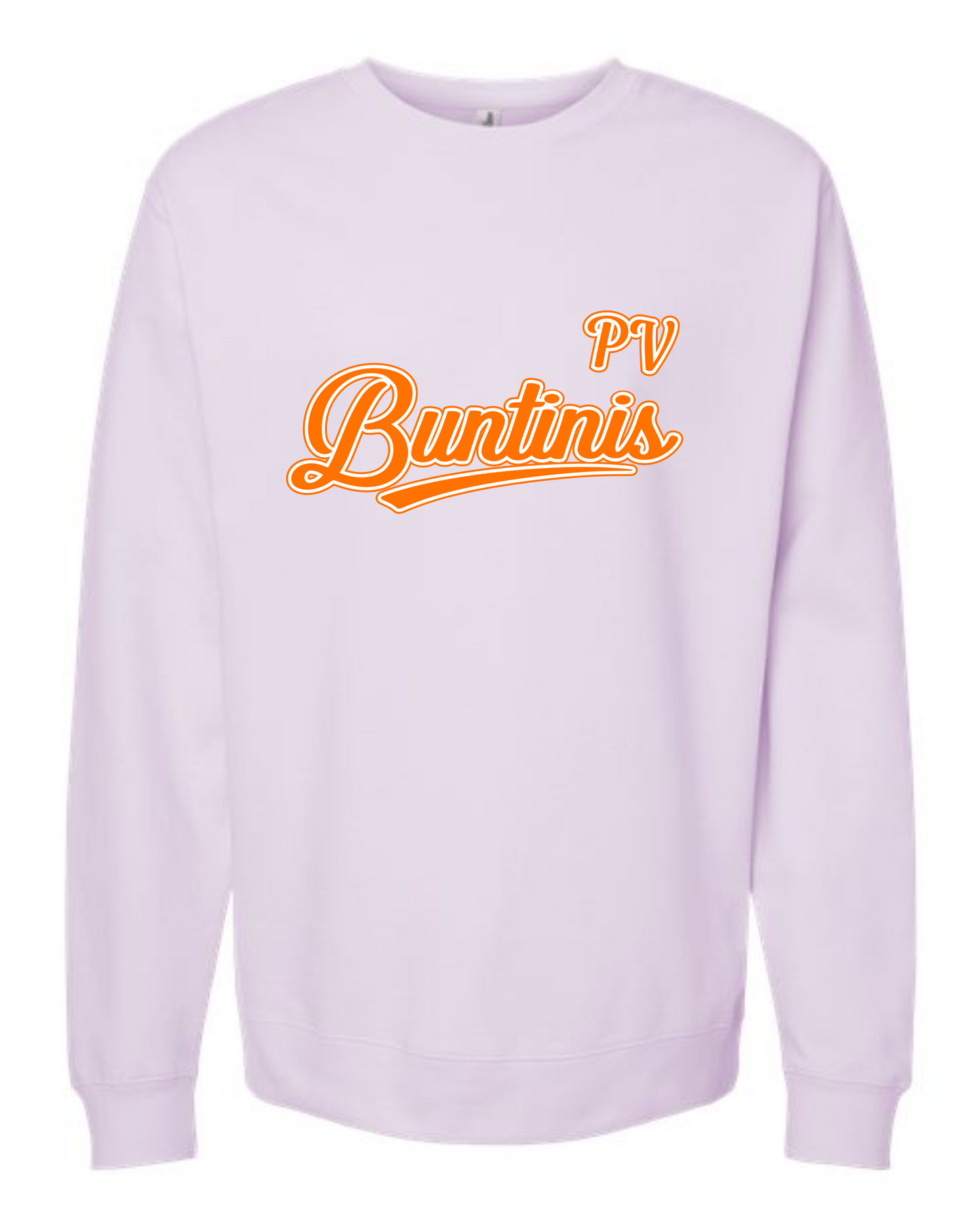 6U BUNTINIS Team LOGO